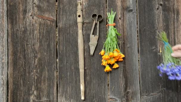 Suspendu bouquet d'herbes d'été sur vieux mur en bois — Video