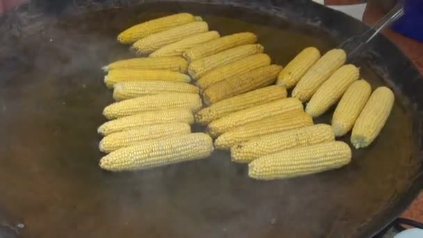 Koken maïs cobs op grote metalen pot — Stockvideo