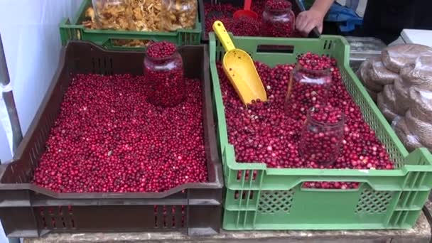 Cogumelos e cranberry na feira de outono — Vídeo de Stock