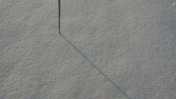 Escrevendo palavra neve na neve de inverno — Vídeo de Stock