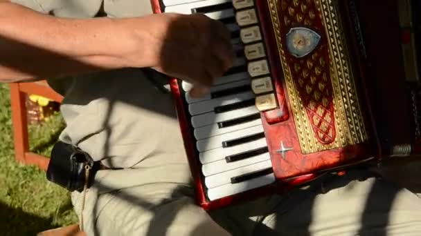 Old mans hands playing with vintage accordion — Stock Video