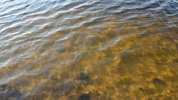 Lago di acqua e fondo sabbioso — Video Stock