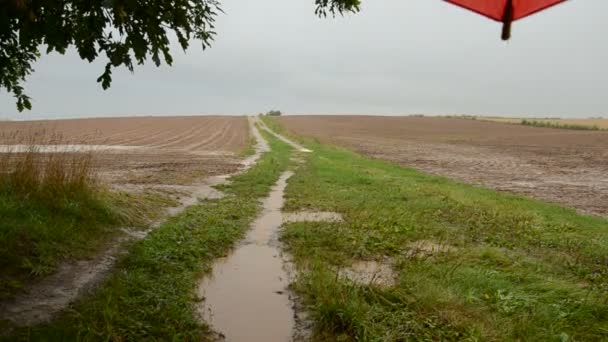 Summer end rain in farm fields and road — Stock Video