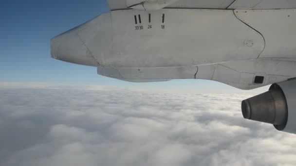 Fliegen über Wolken — Stockvideo