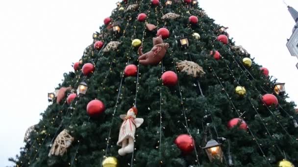 Árbol de Navidad en la plaza de la ciudad — Vídeos de Stock