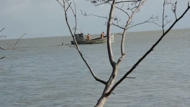 Bateau piscatoire dans la baie de la mer 