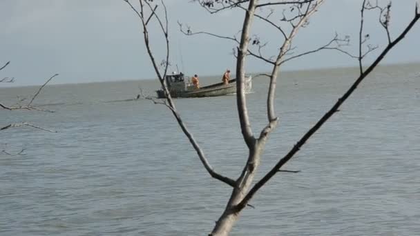 Bateau piscatoire dans la baie de la mer — Video