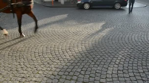 Historische vervoer wielen en paard pedalen — Stockvideo