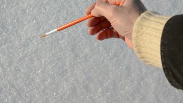 Tekening bloem met schilders borstel op wintersneeuw — Stockvideo