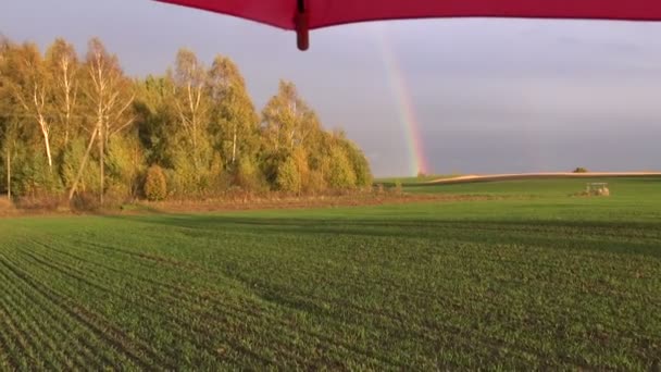 Beskära fältet med regnbåge och rött paraply — Stockvideo