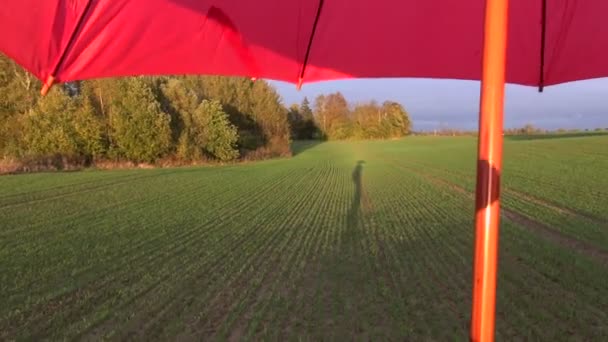 Boer schaduw op gewas veld en rode paraplu — Stockvideo