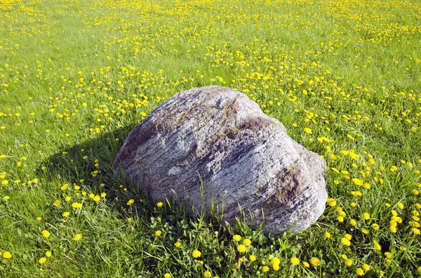 Pietra di granito naturale sul prato primaverile — Foto Stock