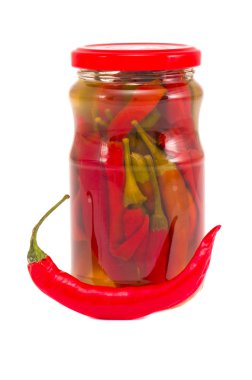 cama de flores de primavera en la Plaza de la ciudad