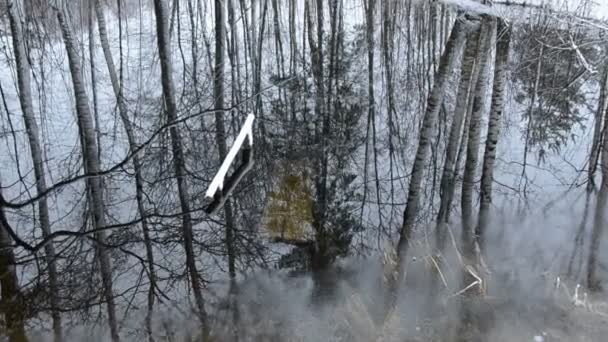 Весенняя талая вода в озере и снег падает — стоковое видео
