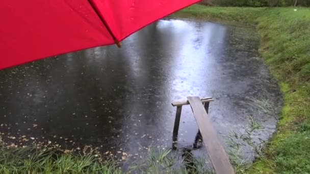 Осінній дощ падає на червону парасольку і ставок — стокове відео