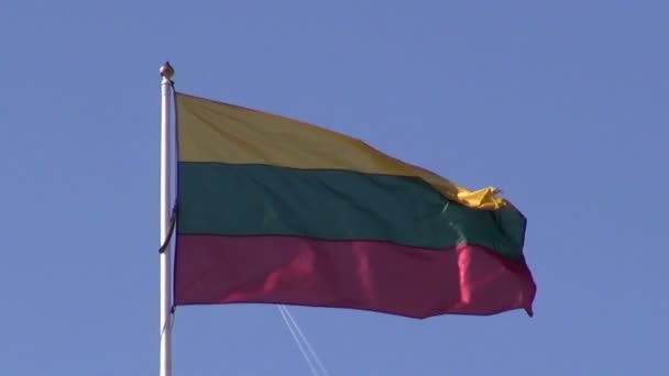 Lithuanian national flag in wind and airplane — Stock Video