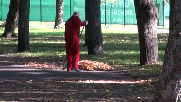 Travailleur ratissant feuilles d'automne dans le parc — Video