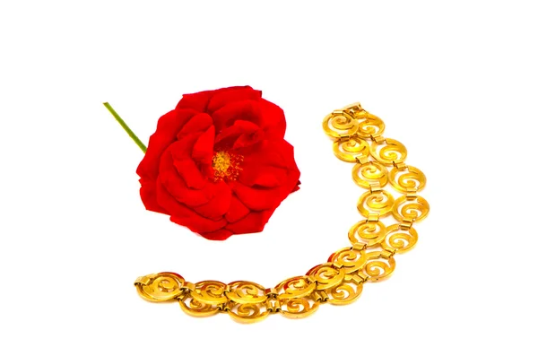 Красная роза и золотая цепь ожерелье на белом — стоковое фото