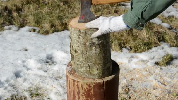 Grumes de hache et de bois de chauffage — Video