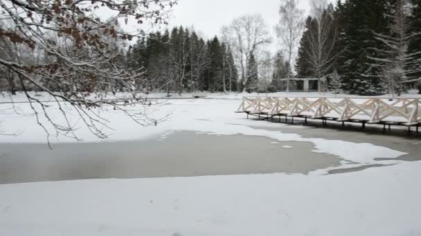 Winter vijver met een houten brug — Stockvideo