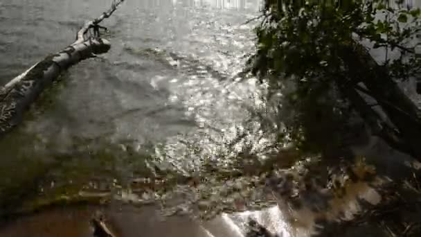 中海龙湾暗多云的日子 — 图库视频影像