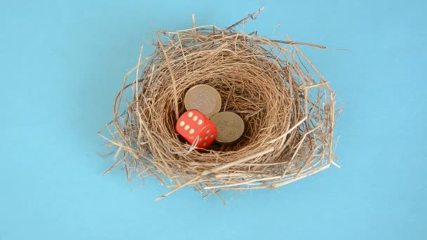 Monedas y dados en el nido de aves — Vídeo de stock