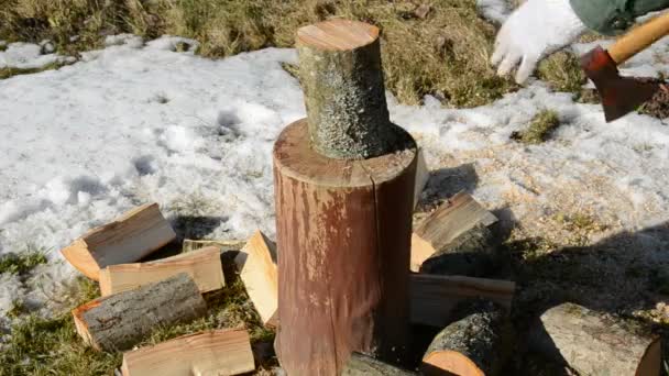 Bijl en brandhout log — Stockvideo