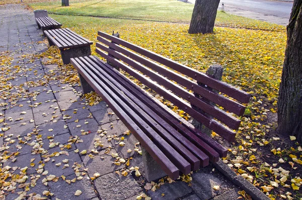 Skupina lavičky v podzimním parku — Stock fotografie