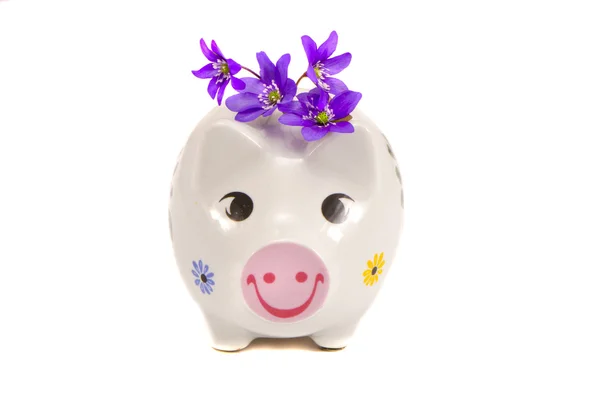 Banco porquinho divertido com flores violeta primavera — Fotografia de Stock
