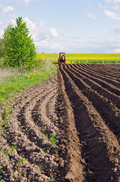 Plöjde våren fält för patatoes och liten traktor — Stockfoto