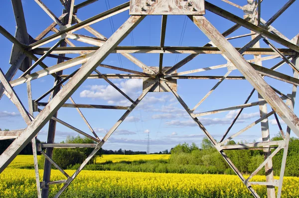 Poste elétrico de alta tensão e campo de estupros de mola — Fotografia de Stock