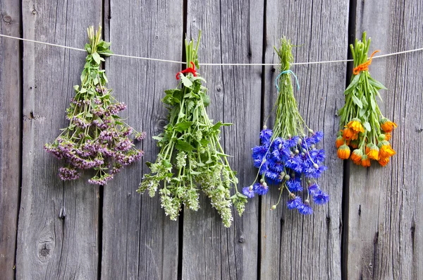 Yaz tıbbi ot demetleri ahşap duvar