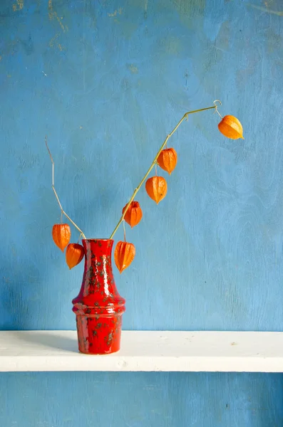 Red ceramic vase with dry husk tomato — Stock Photo, Image