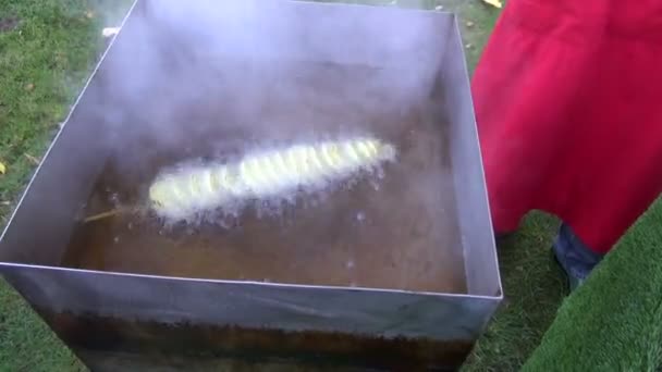 Cocinar patatas en feria de agricultura — Vídeos de Stock