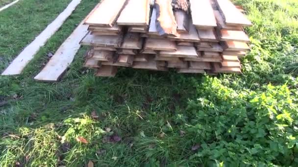 Nueva madera aserrada sobre hierba — Vídeos de Stock