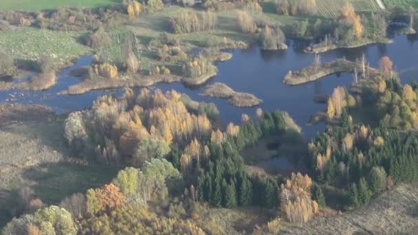 Vista aérea sobre el lago y el bosque de otoño — Vídeos de Stock