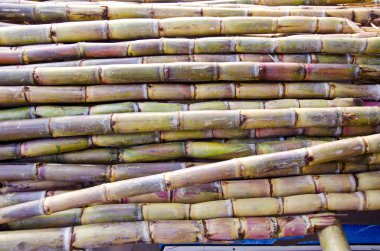 Fresh sugarcane in Delhi bazaar, India clipart