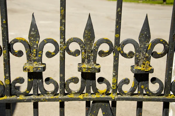 Old metal fence ornamental fragment — Stock Photo, Image