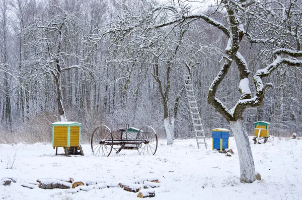 Vintertid i gammal lantlig trädgård — Stockfoto