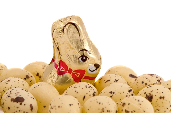 Пасхальные яйца и шоколадный кролик изолированы на белом — стоковое фото