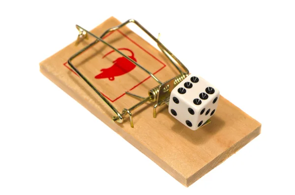 Mousetrap with casino dice concept isolated on white — Stock Photo, Image