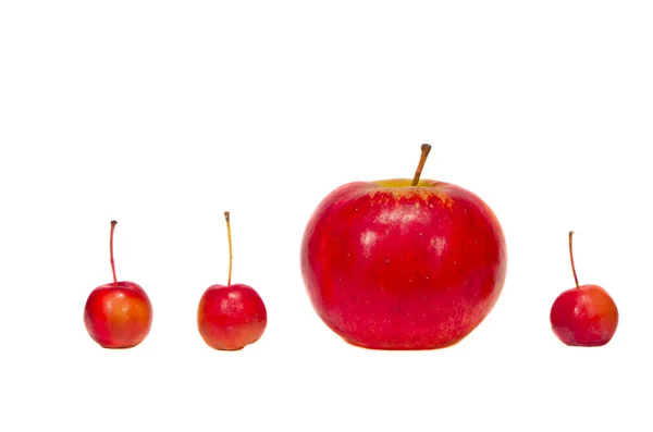 Μεγάλα και μικρά κόκκινα μήλα που απομονώνονται σε λευκό — Φωτογραφία Αρχείου