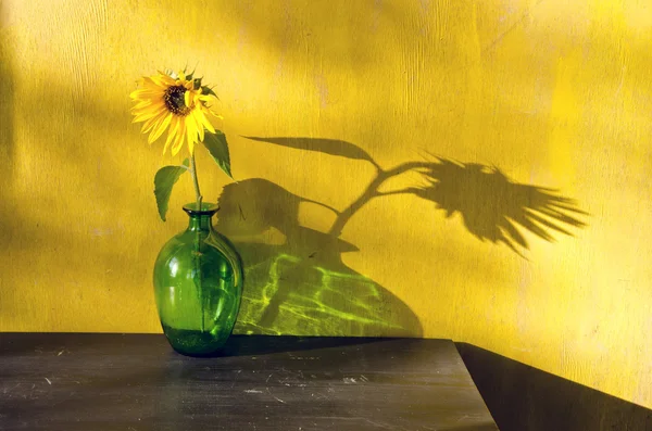 Bottle with sunflower and evening sunlight — Stock Photo, Image