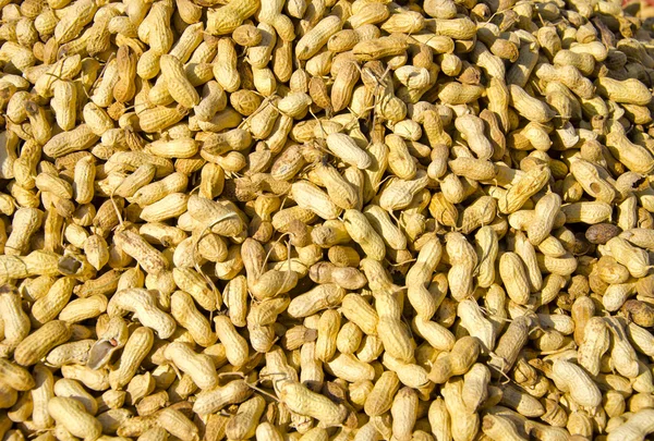 Cacahuètes sur le marché asiatique — Photo
