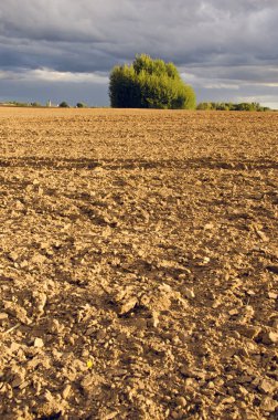 sürülmüş tarım alanı peyzaj