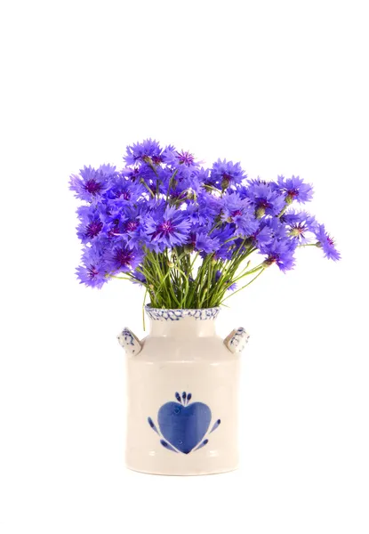 Blue cornflowers bouquet in vase isolated on white — Stock Photo, Image