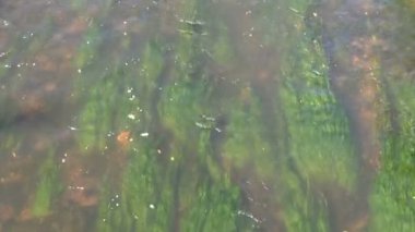 soyut yaz nehrin akış arka plan