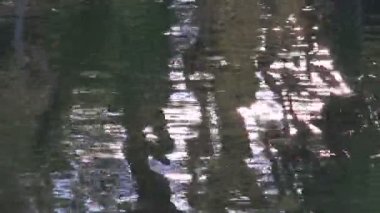 nehir su ve ağaç gölgeleri doğa arka