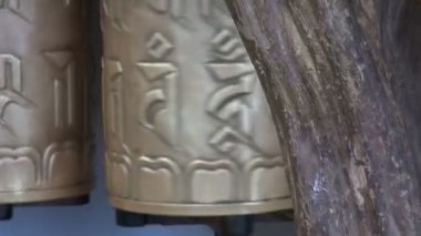 Dharamsala, Hindistan Tibet Budist dua tekerlekleri