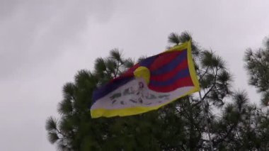 dharamsala, Hindistan Tibet sürgün bayrağı
